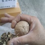 김장 재료-김장육수만들기 재료로 건표고버섯 은은한 향을 느껴보세요