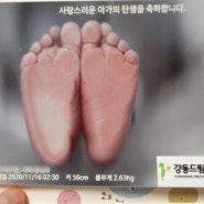 강동 드림 산부인과 초산모, 37주 출산 후기