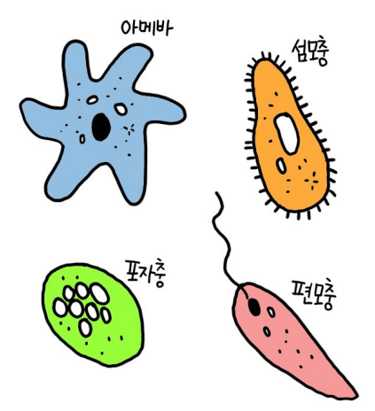 세균, 원생동물, 진균, 바이러스, 프리온 : 네이버 블로그