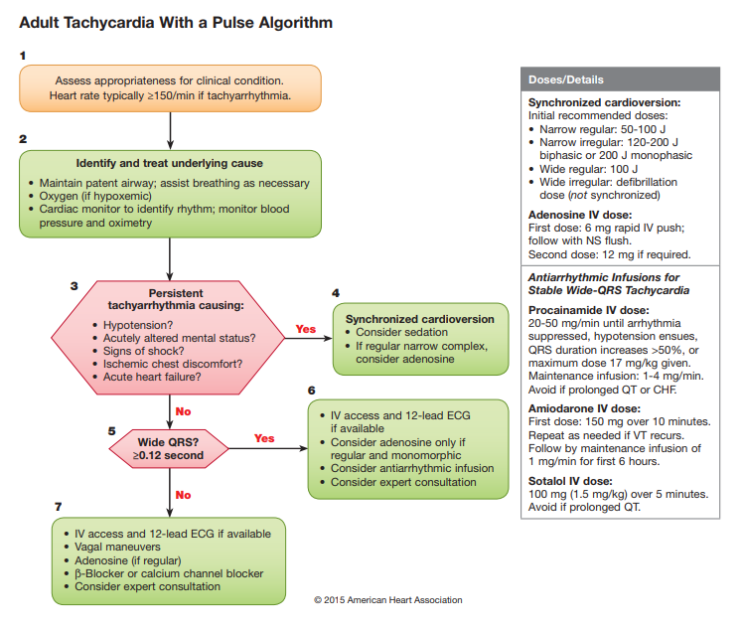 [ACLS(Advanced Cardiovascular Life Support)7-5]TachyCardia Algorithm ...