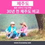 비티앤아이 여행그룹(BT&I) 송주온(송경애), 30년 전 제주도 비교해보기