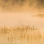 2020년 11월 12일 황금빛 물안개가 피어오르던 진안 용담호 사진 출사