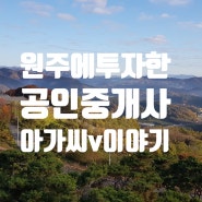 원주에 투자한 서울 사는 공인중개사 이야기