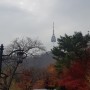2020년 11월 아름다운 가을 남산 둘레길 나들이~~~^^