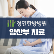 광주 청연한방병원 임산부 멀미부터 교통사고치료까지