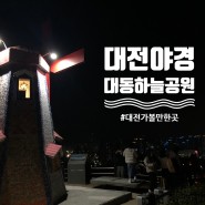 대전 야경 가볼만한곳 대동하늘공원 짧지만 강렬한 산책