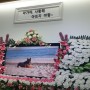 대전 강아지 장례식으로 우바스를 찾아주세요!