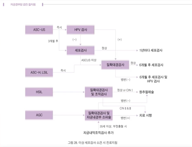 자궁경부 조직검사 후기(자궁경부암 검사, HPV바이러스 검사 후) 11.12 : 네이버 블로그