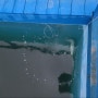 파주 양어장 낚시터 수산용 산소발생기 임대 렌탈