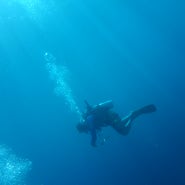 시파단 다이빙 여행 | 2일차 환상의 시파단 포인트와 처음 만난 만다린 피쉬