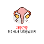 자궁근종 (Uterine myoma) 이게 무엇인고