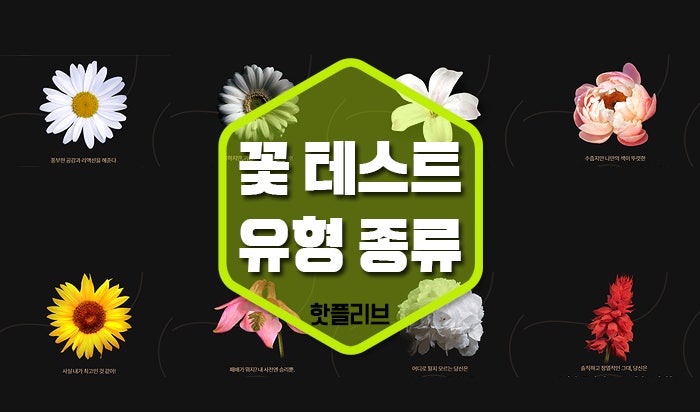 꽃 MBTI 테스트 성향 종류 8가지 비교_lu42 프리미엄 셀렉트샵 : 네이버 블로그