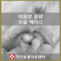 외음부 종양 수술 케이스 : 천안 동물병원