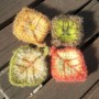 은하털실함뜨- 시도니팅의가을낙엽수세미