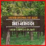 대전여행 메타세콰이어 숲길이 있는 대덕구 언택트 가볼만한곳