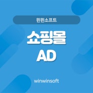 [윈윈소프트] 윈윈소프트가 제공 하는 쇼핑몰 AD 관련 소개