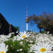 서울 남산타워와 산책길 걷기