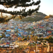 동해 논골담길 벽화마을과 묵호항구가 보이는 묵호등대