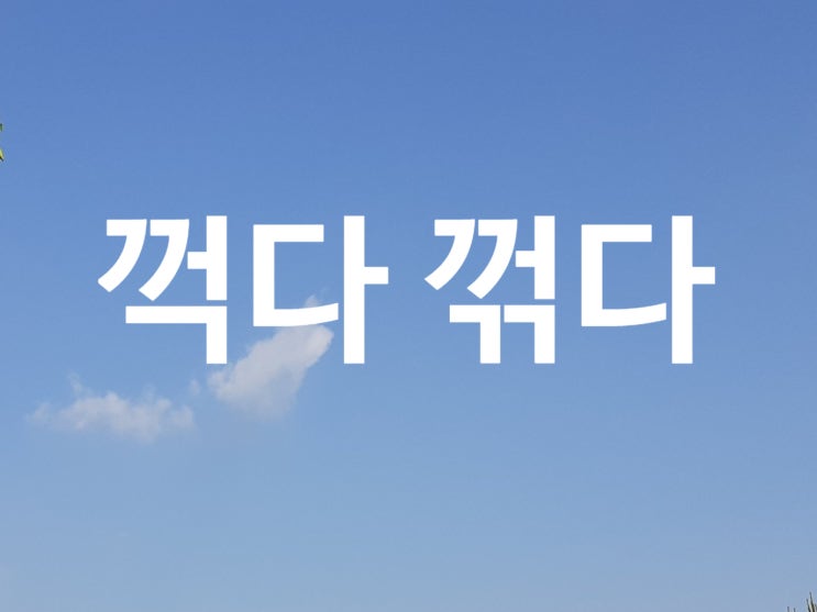 꺽다 꺾다 어떤 단어를 사용해야 할까요 : 네이버 블로그