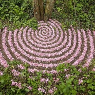 James Brunt creates earth art using all natural ingredients ㅣ James Brundt 의 모든 자연 재료를 활용한 지구아트