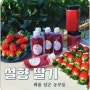 설향 딸기 해를 담은 농부들 온라인 판매 시작!