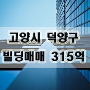 경기도 고양시 덕양구 행신동 스타벅스 빌딩매매 315억