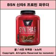 [단백질 보충제] BSN 신타6 프로틴 파우더 드링크 믹스