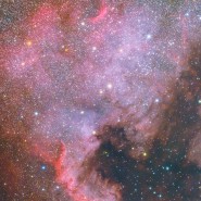 NGC7000 (North America Nebula)