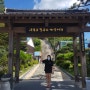 [포항 구룡포항] 구룡포 일본인 가옥거리 : 동백꽃 필 무렵 촬영지