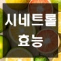 씨네트롤 시네트롤 부작용 자세하게 알아봐요