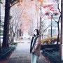 [Photo]추억을 담다 - ShotonLGWing & Canon(서울계남초등학교)-힐링영상/감성영상