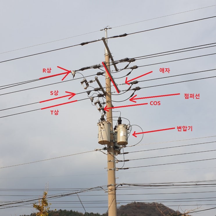 전주(전봇대) 고압케이블 (22.9kV) 상 찾는 법 : 네이버 블로그