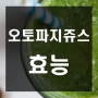 오토파지쥬스 오토파지주스 자세히 알아봐요