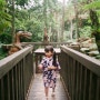 [아이랑 오키나와 자유여행] 오카시고텐 나고점 디노 파크 : DINO PARK : 恐竜やんばる亜熱帯の森