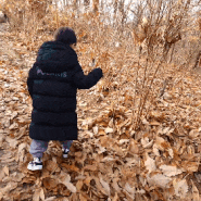 송파 오금공원] 가을 생태 탐방