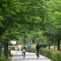 만석공원(여름)