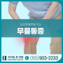 충무동무릎통증 무릎연골손상