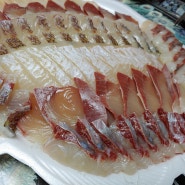 구리농수산물시장 전남수산 대방어 가격 참 착하다