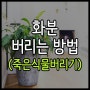 화분 버리는 방법 : 죽은 식물 버리기