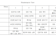 Morphological Chart