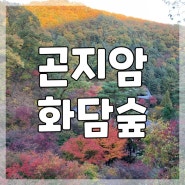 광주 곤지암 화담숲 주말 단풍구경/모노레일 매진