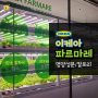 도심형농장 이케아 파르마레 닭가슴살 샐러드 / 광명점