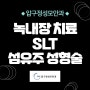 녹내장 치료 SLT 섬유주 성형술