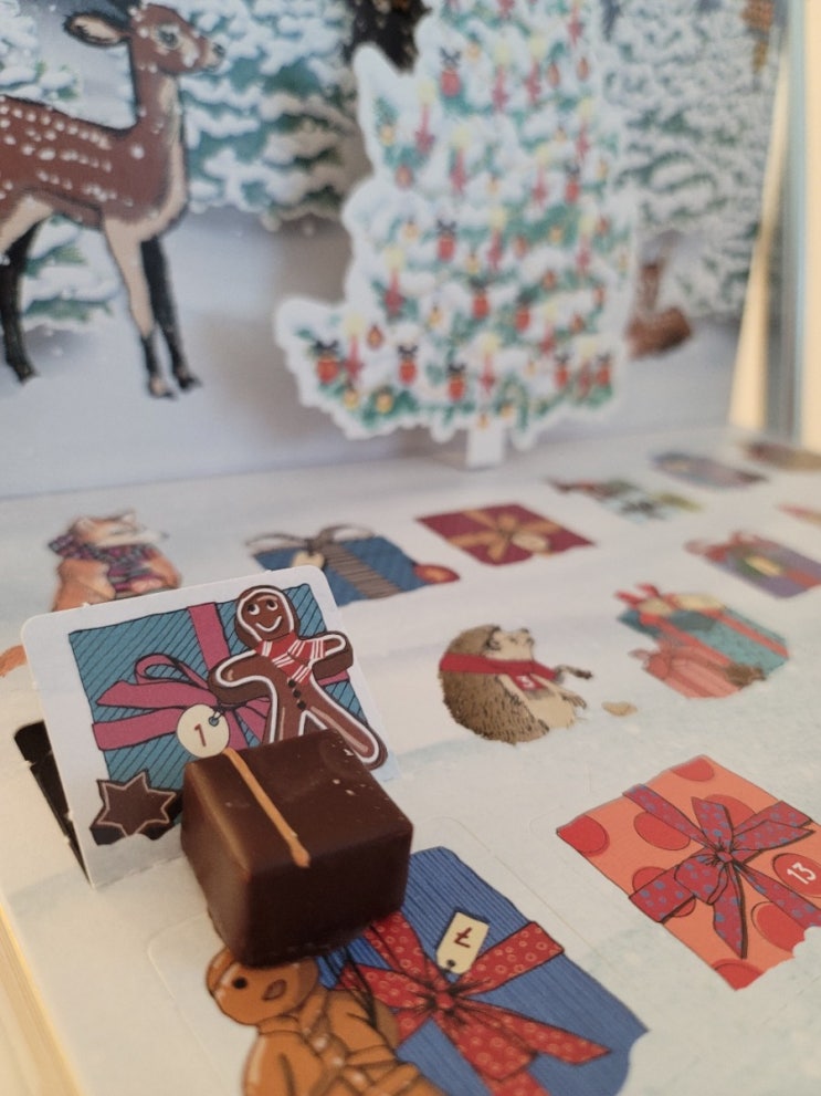 [일상]스위스 슈프륑글리 어드벤트 캘린더(Sprüngli advent calendar)