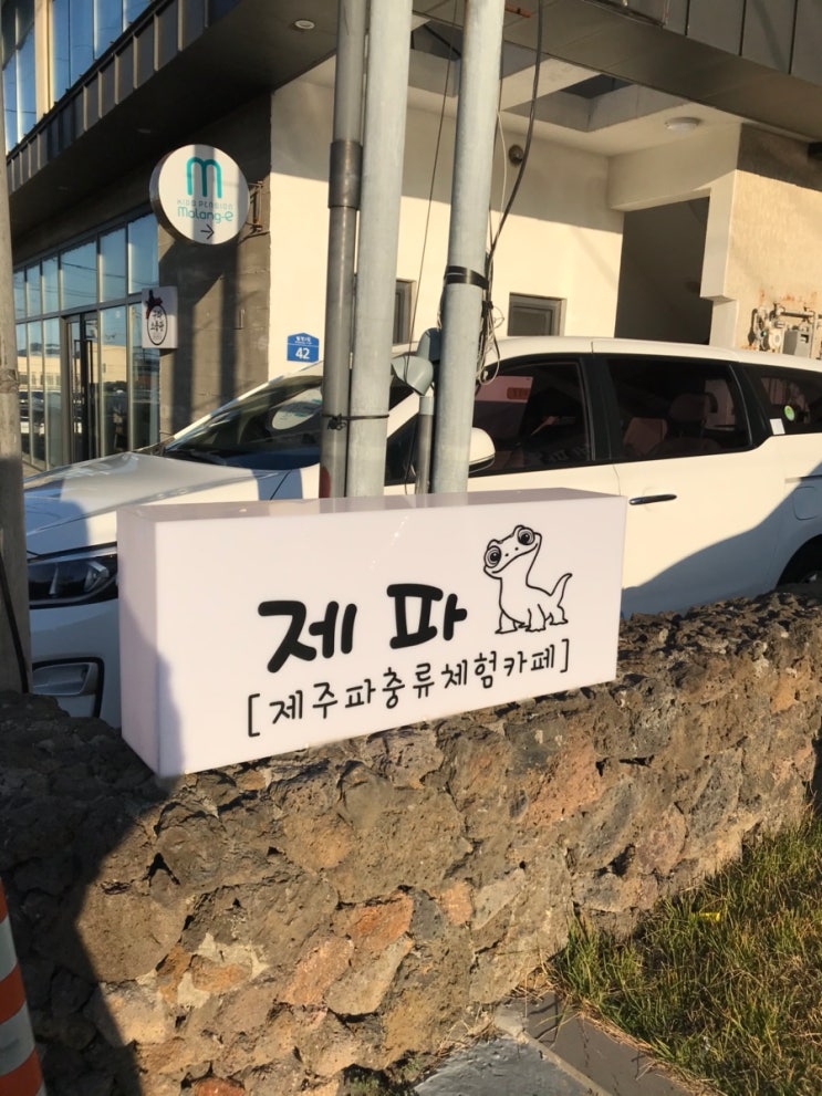 제주 파충류체험카페 제파