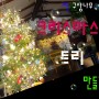 크리스마스트리 만들기 Making Christmas trees 구상나무 abies koreana