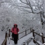 [9년 전 오늘] 2, 치악산(겨울) 눈꽃이 멋지고 팔방미인형인 동악명산(능선갈림길-전망대-헬기장-정상)