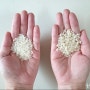 유기농 햅쌀 7분도미 황금눈쌀! 집밥이 최고라네~