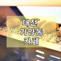 대전 가양동 카페 배달로 즐기세요.