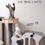 노래하는 고양이 하프캣타워 + 바스캣 후기